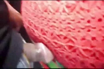 Anális lábszáras szépséggel vidéken. pina megbaszva